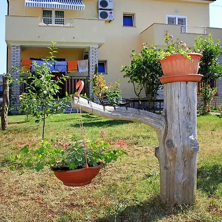 Grzinic - Cis01262-cya * Rovinj